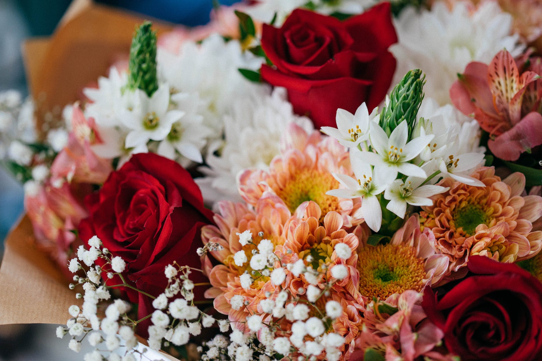 close up photo of assorted flowers