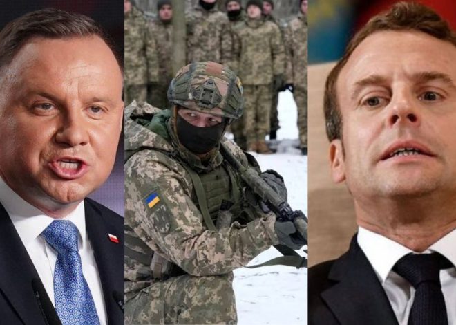 Scholtz blasts Macron: ARE YOU CRAZY? Over NATO troops to Ukraine