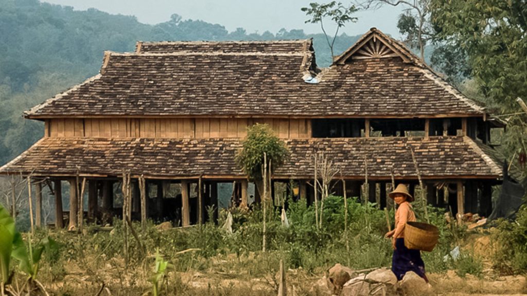 Bamboo House