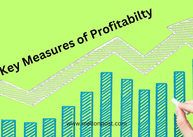 8 Key Measures of Profitability In Business