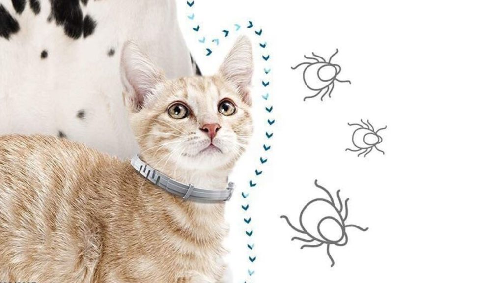 What is flea collars