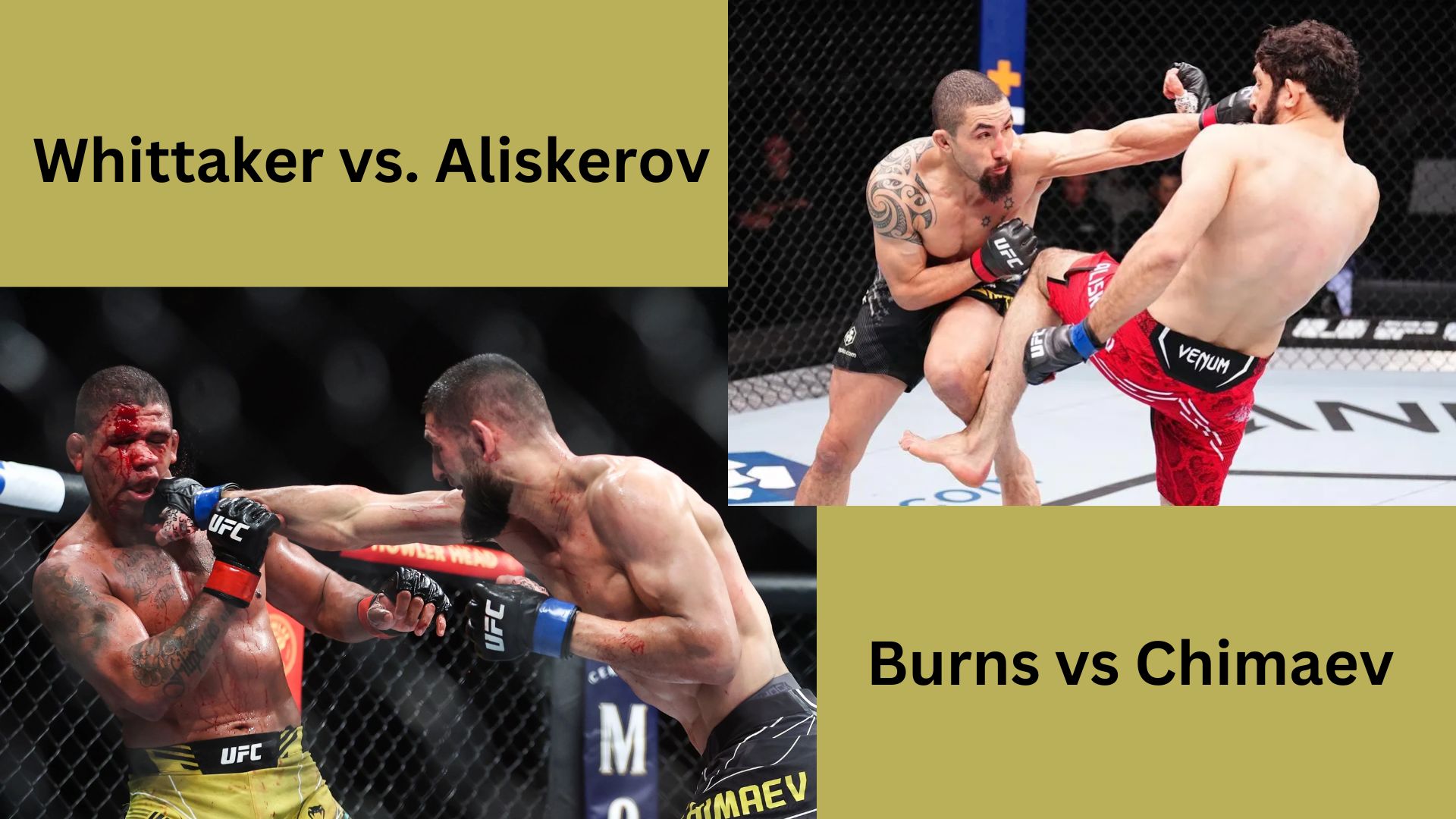 UFC Saudi Arabia Results: Whittaker vs. Aliskerov Card |  Burns vs Chimaev