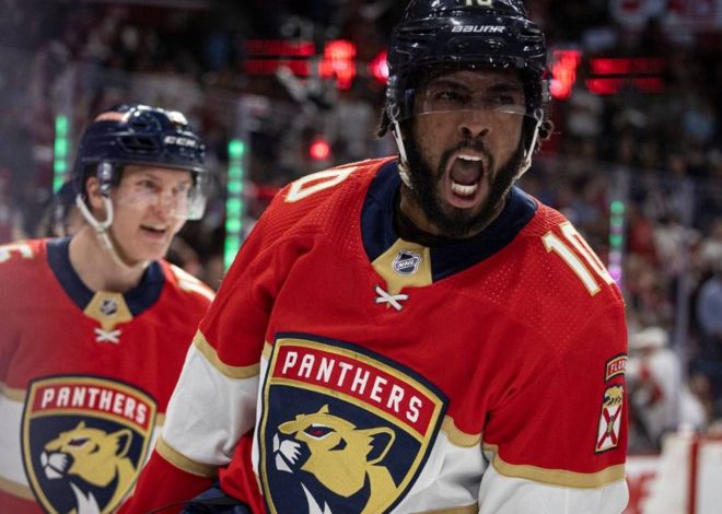 The Florida Panthers Improbable Journey to the 2024 Stanley Cup Finals