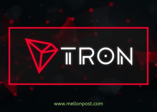 Top 7 TRON Wallets