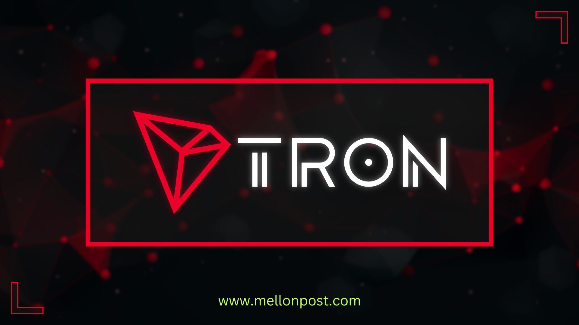 Top 7 TRON Wallets