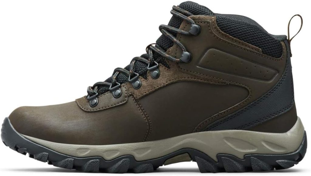 Newton Ridge Hiking Shoe