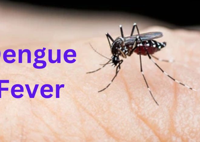 Dengue Fever: Causes, Symptoms, Prevention, and Treatment