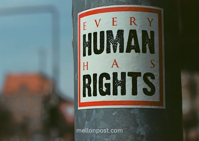 Fundamental Human Rights : Core Principles and Global Impact