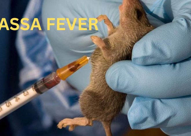 Lassa Fever: Causes, Symptoms, Prevention, and Treatment