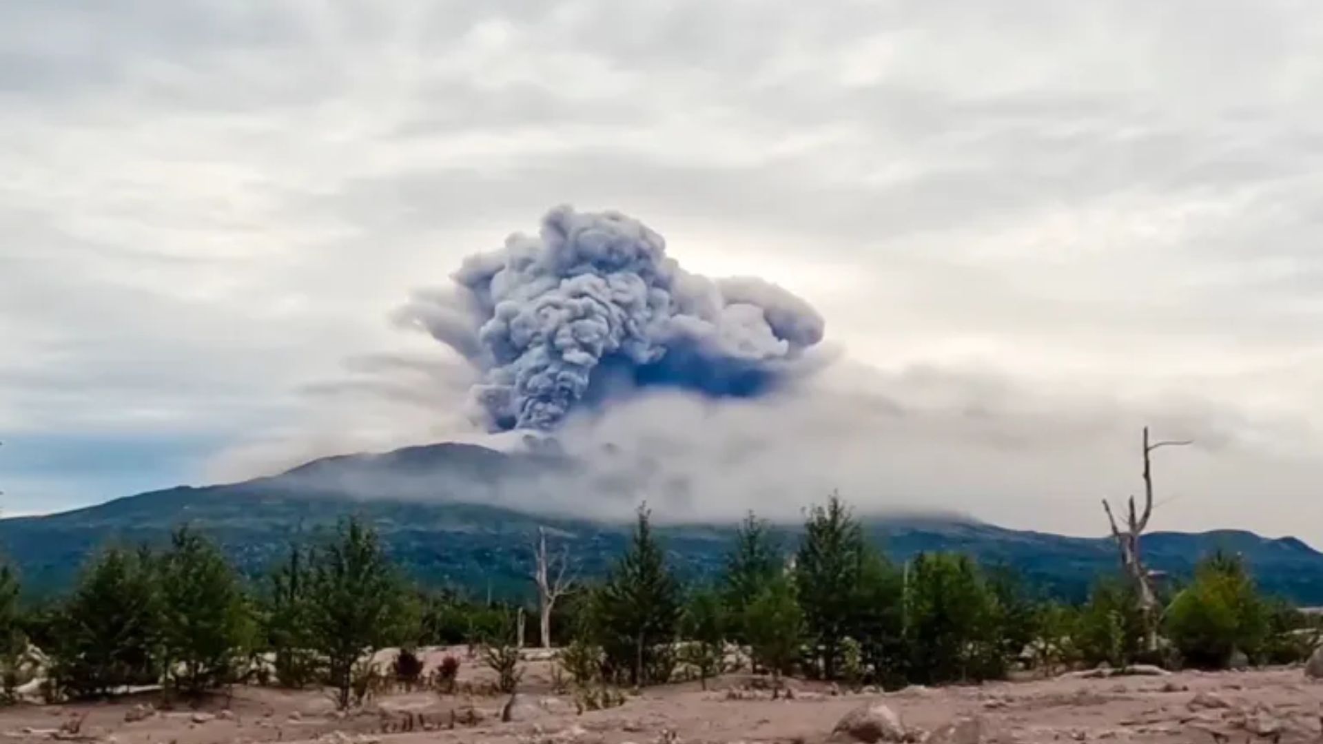 Shiveluch Volcano Erupts in Russia Following Powerful Earthquake