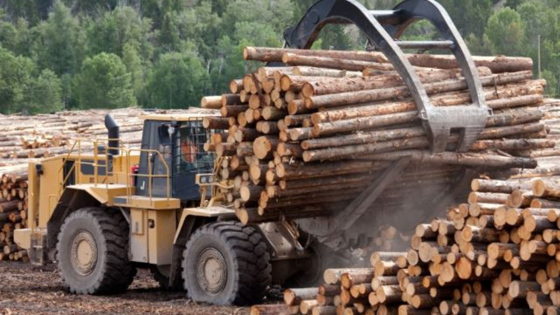 Canadian government denounces increased U.S. softwood lumber duties as unfair