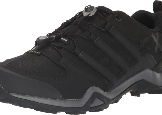 adidas Men’s Terrex Swift R2 Gore-Tex Hiking Shoe