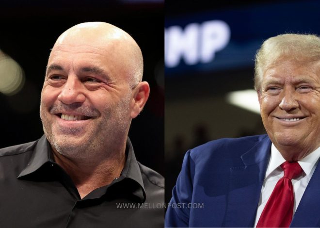 Joe Rogan vs  Donald Trump Interview Highlight