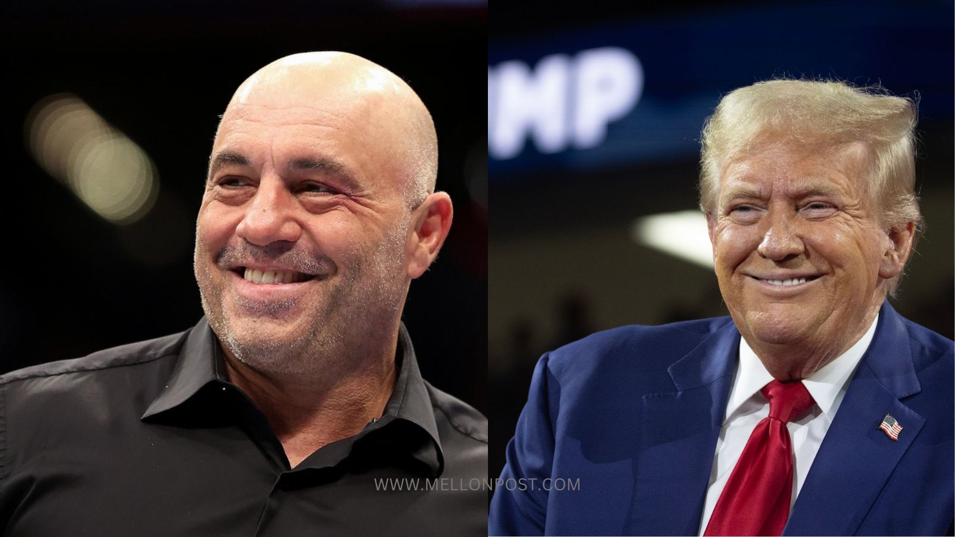 Joe Rogan vs  Donald Trump Interview Highlight