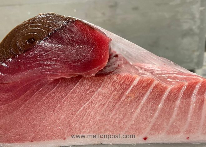 Why Dark Tuna Meat Has Less Commercially Value