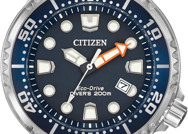 Citizen Promaster Dive Eco-Drive Watch, 3-Hand Dat…