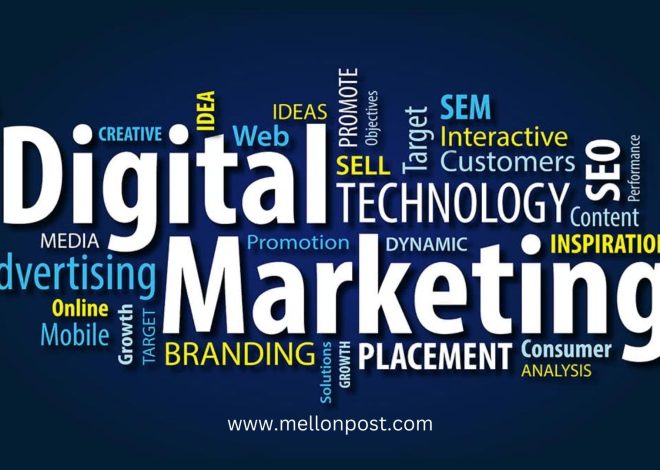 Top 7 Skills Required to Become a Digital Marketing Expert